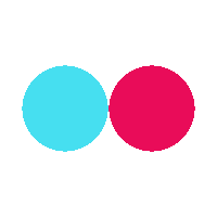 Website Preloader